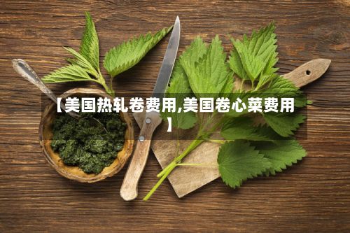 【美国热轧卷费用,美国卷心菜费用】