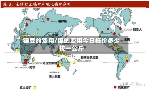 镍豆的费用/镍的费用今日报价多少钱一公斤-第2张图片