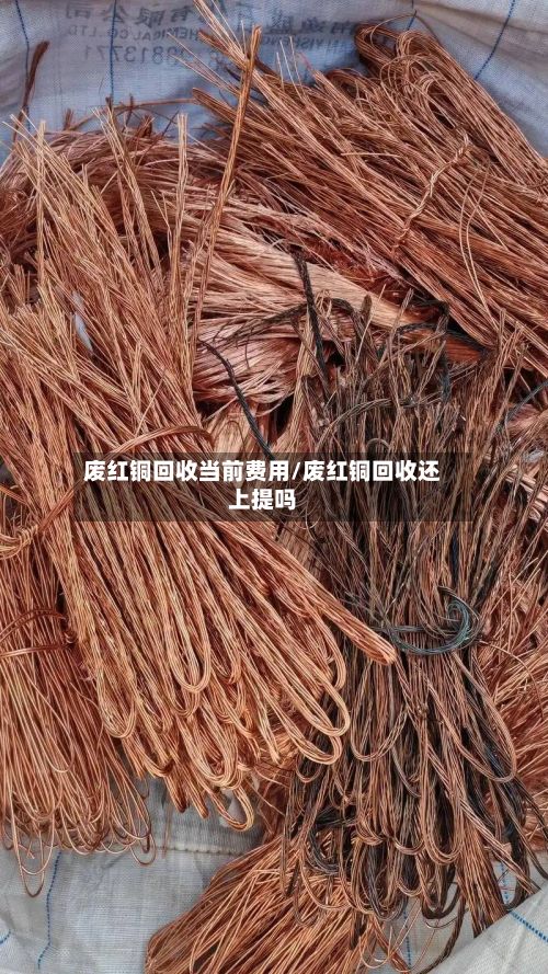 废红铜回收当前费用/废红铜回收还上提吗-第3张图片