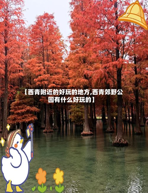 【西青附近的好玩的地方,西青郊野公园有什么好玩的】
