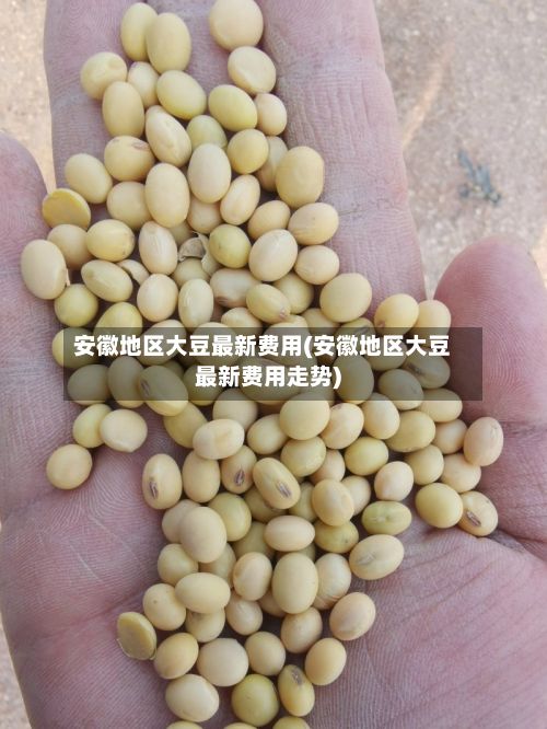 安徽地区大豆最新费用(安徽地区大豆最新费用走势)-第2张图片