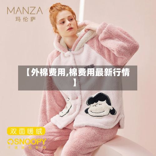 【外棉费用,棉费用最新行情】-第2张图片