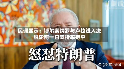 民调显示：博尔索纳罗与卢拉进入决胜轮前一日支持率持平-第3张图片