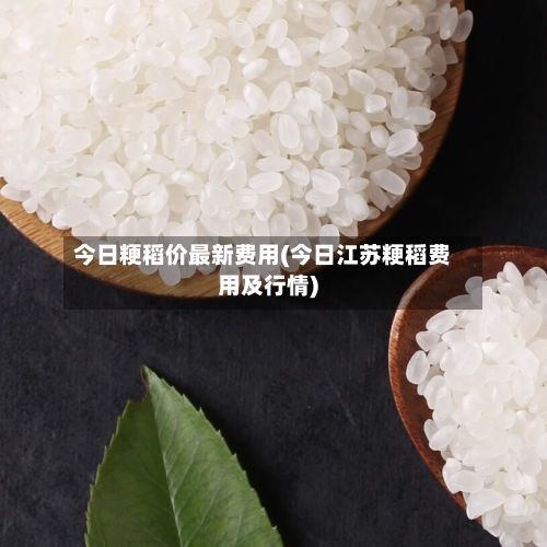 今日粳稻价最新费用(今日江苏粳稻费用及行情)-第2张图片