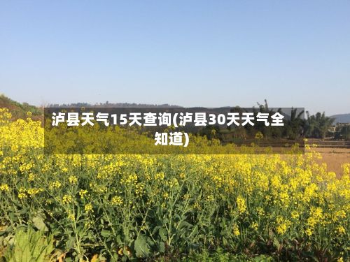 泸县天气15天查询(泸县30天天气全知道)