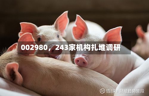 002980，243家机构扎堆调研-第3张图片