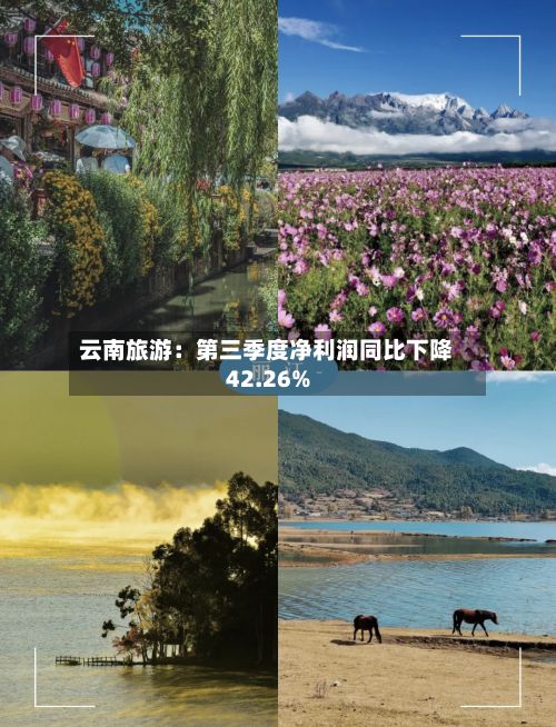 云南旅游：第三季度净利润同比下降42.26%-第1张图片