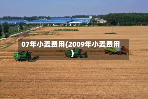 07年小麦费用(2009年小麦费用)