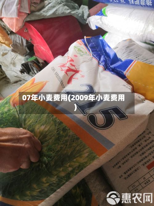 07年小麦费用(2009年小麦费用)-第3张图片