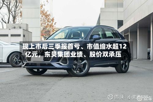 现上市后三季报首亏	、市值缩水超12亿元，东贝集团业绩、股价双承压-第3张图片