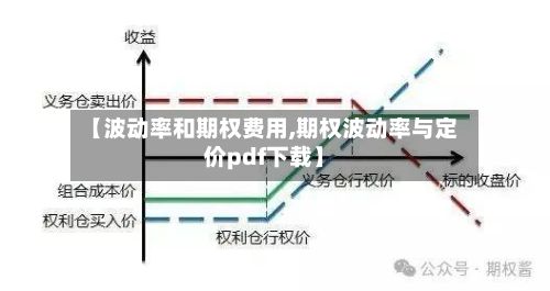 【波动率和期权费用,期权波动率与定价pdf下载】