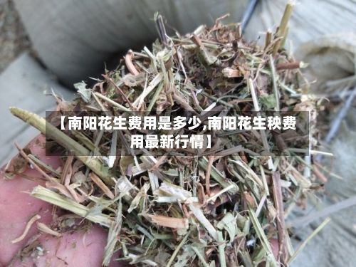 【南阳花生费用是多少,南阳花生秧费用最新行情】