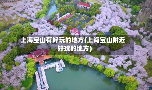 上海宝山有好玩的地方(上海宝山附近好玩的地方)