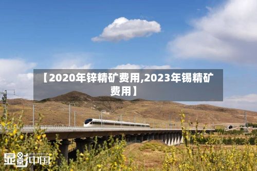 【2020年锌精矿费用,2023年锡精矿费用】
