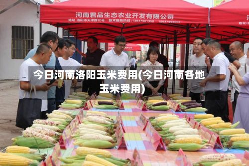 今日河南洛阳玉米费用(今日河南各地玉米费用)-第2张图片