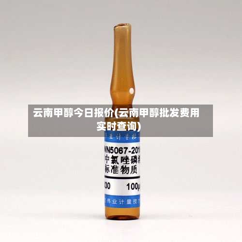 云南甲醇今日报价(云南甲醇批发费用实时查询)-第3张图片