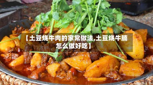 【土豆烧牛肉的家常做法,土豆烧牛腩怎么做好吃】-第2张图片