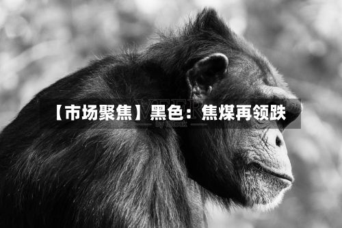 【市场聚焦】黑色:焦煤再领跌-第1张图片