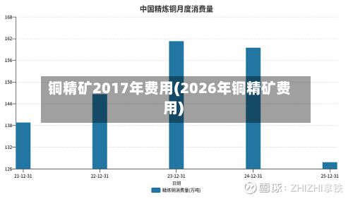 铜精矿2017年费用(2026年铜精矿费用)