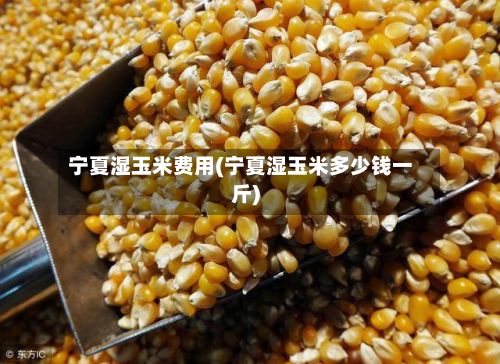 宁夏湿玉米费用(宁夏湿玉米多少钱一斤)-第2张图片