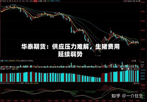 华泰期货：供应压力难解	，生猪费用延续弱势-第1张图片