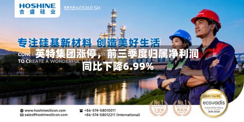英特集团涨停	，前三季度归属净利润同比下降6.99%-第1张图片