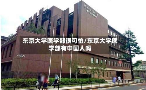 东京大学医学部很可怕/东京大学医学部有中国人吗