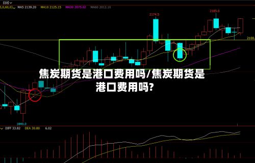 焦炭期货是港口费用吗/焦炭期货是港口费用吗?-第3张图片
