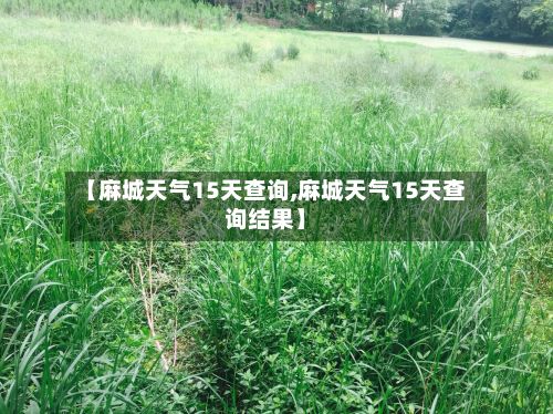 【麻城天气15天查询,麻城天气15天查询结果】