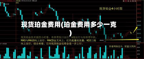 现货珀金费用(珀金费用多少一克)
