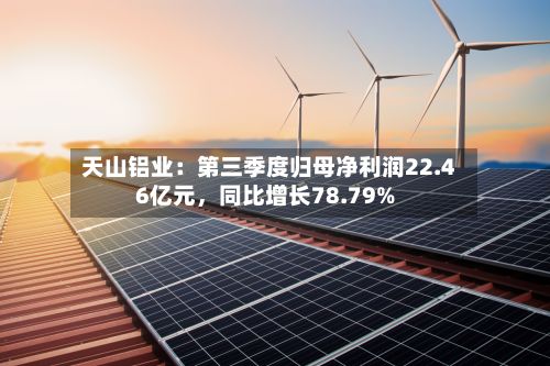 天山铝业：第三季度归母净利润22.46亿元，同比增长78.79%
