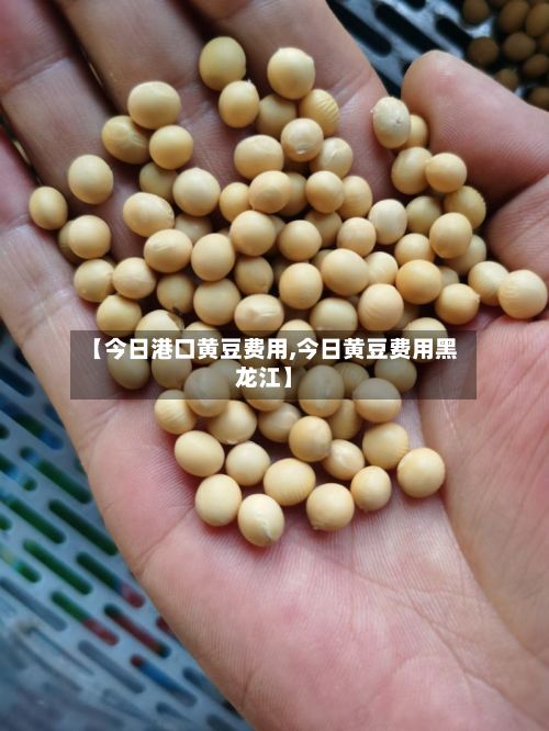 【今日港口黄豆费用,今日黄豆费用黑龙江】