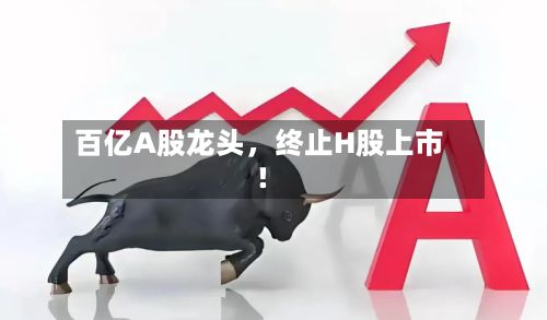 百亿A股龙头，终止H股上市！-第2张图片