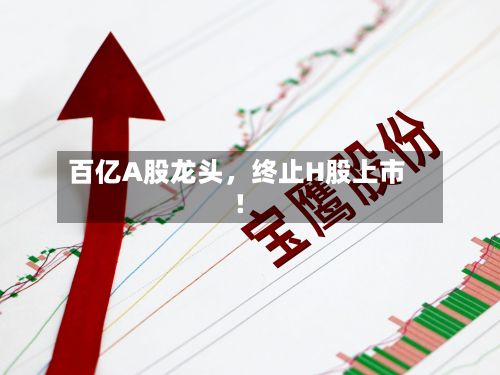 百亿A股龙头，终止H股上市！