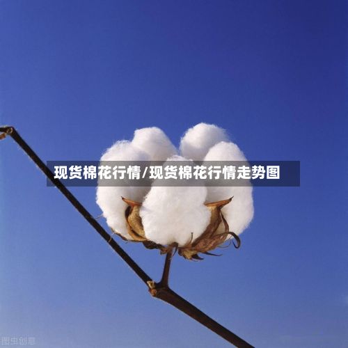 现货棉花行情/现货棉花行情走势图-第3张图片