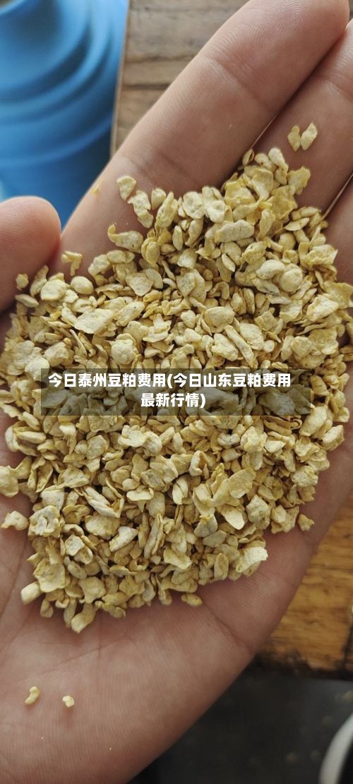 今日泰州豆粕费用(今日山东豆粕费用最新行情)
