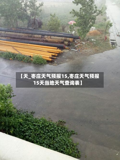 【天_枣庄天气预报15,枣庄天气预报15天当地天气查询表】