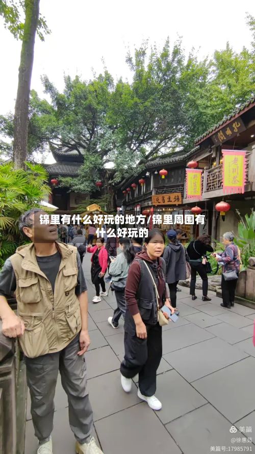 锦里有什么好玩的地方/锦里周围有什么好玩的-第3张图片
