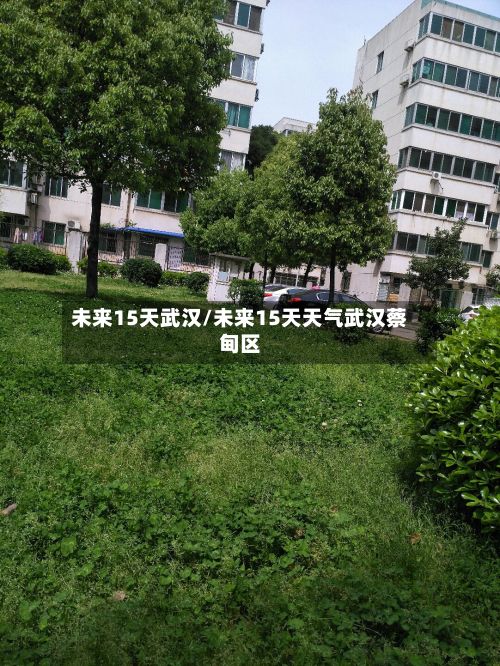 未来15天武汉/未来15天天气武汉蔡甸区