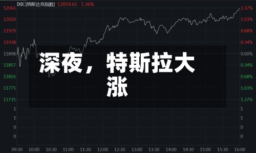 深夜，特斯拉大涨
