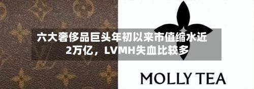 六大奢侈品巨头年初以来市值缩水近2万亿，LVMH失血比较多-第3张图片