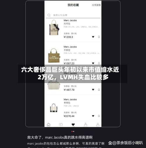 六大奢侈品巨头年初以来市值缩水近2万亿，LVMH失血比较多-第2张图片