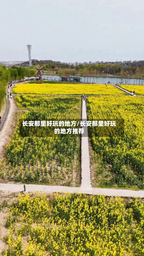 长安那里好玩的地方/长安那里好玩的地方推荐