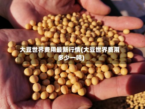 大豆世界费用最新行情(大豆世界费用多少一吨)