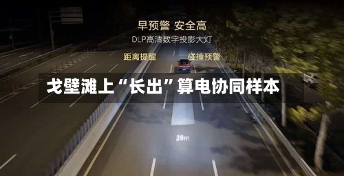 戈壁滩上“长出”算电协同样本-第2张图片