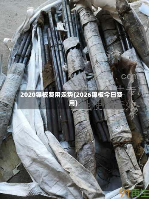 2020镍板费用走势(2026镍板今日费用)-第3张图片