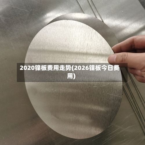 2020镍板费用走势(2026镍板今日费用)