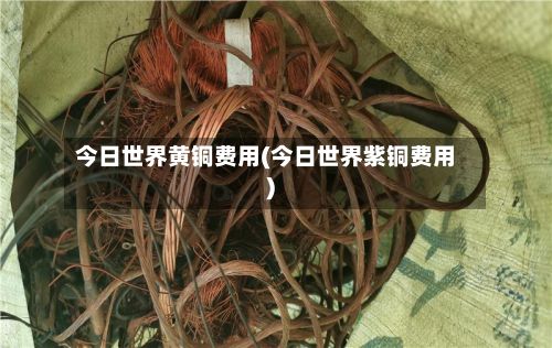 今日世界黄铜费用(今日世界紫铜费用)-第2张图片