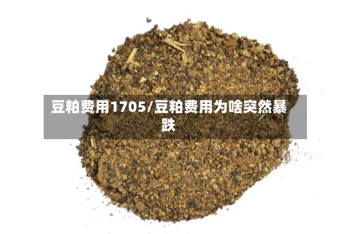 豆粕费用1705/豆粕费用为啥突然暴跌
