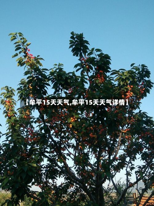 【牟平15天天气,牟平15天天气详情】-第2张图片